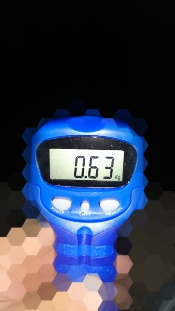 エギング釣行 その39